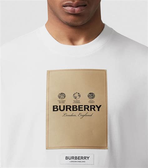 dark brown burberry shirt|burberry t shirt original price.